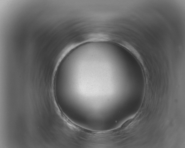 X0000062601488200512281345