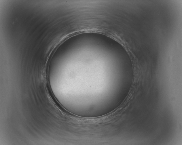 X0000062600002200601040925