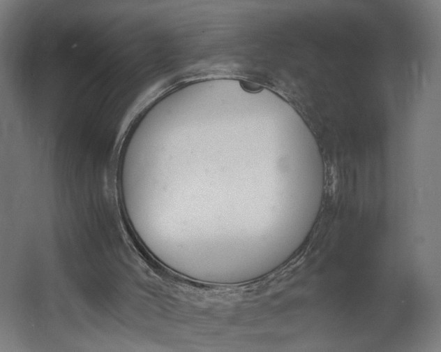X0000062600004200601040925