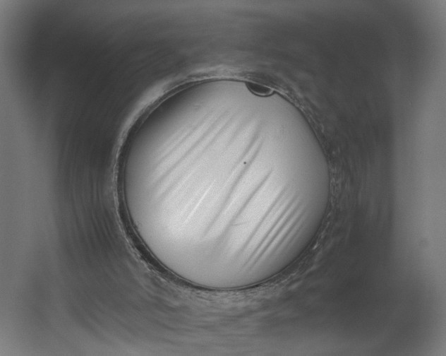 X0000062600006200601040925