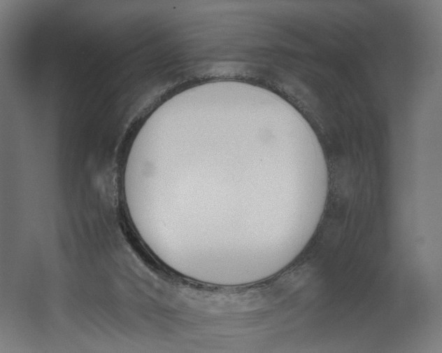 X0000062600016200601040925