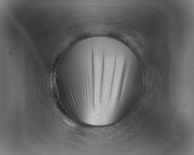X0000062600017200601040925