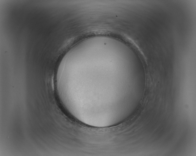 X0000062600019200601040925