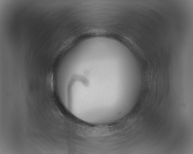 X0000062600024200601040925