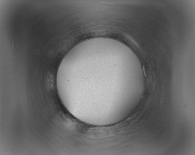 X0000062600025200601040925