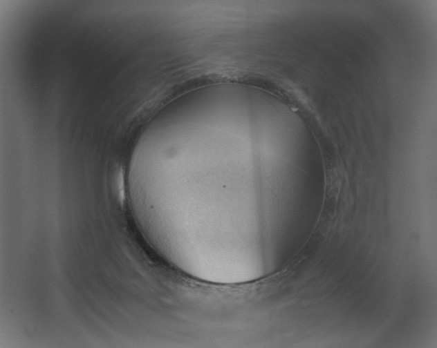X0000062600027200601040925