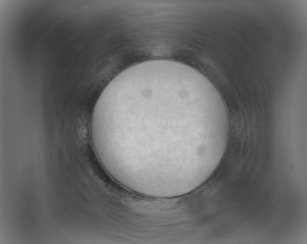 X0000062600032200601040925