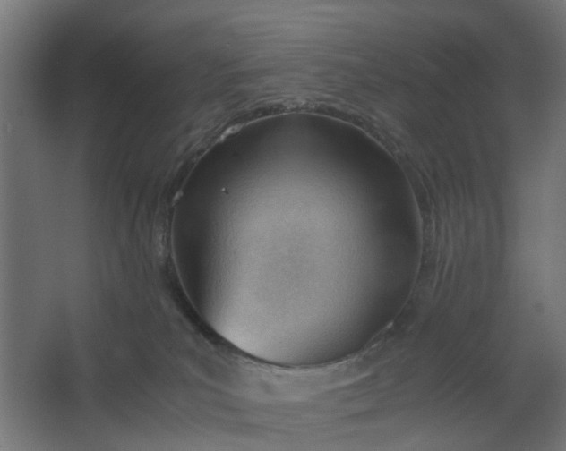 X0000062600039200601040925