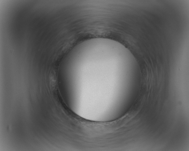 X0000062600040200601040925