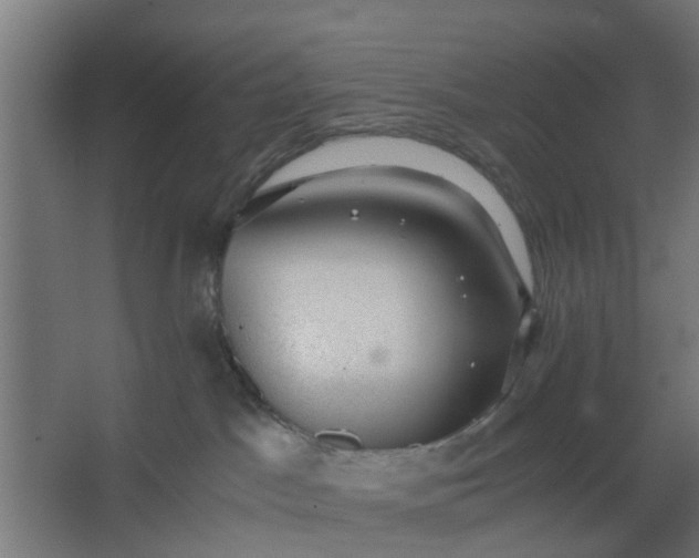 X0000062600045200601040925