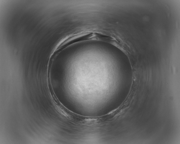 X0000062600052200601040924