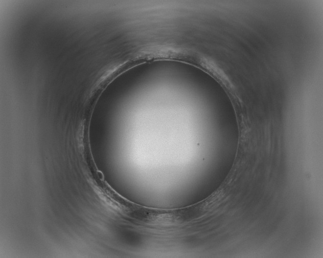 X0000062600058200601040924