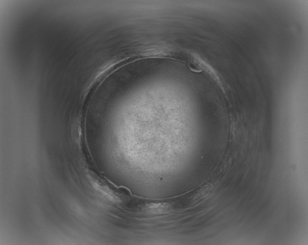 X0000062600059200601040924