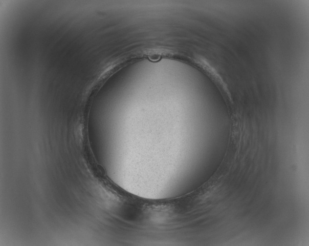 X0000062600063200601040924