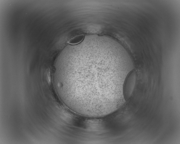 X0000062600069200601040924