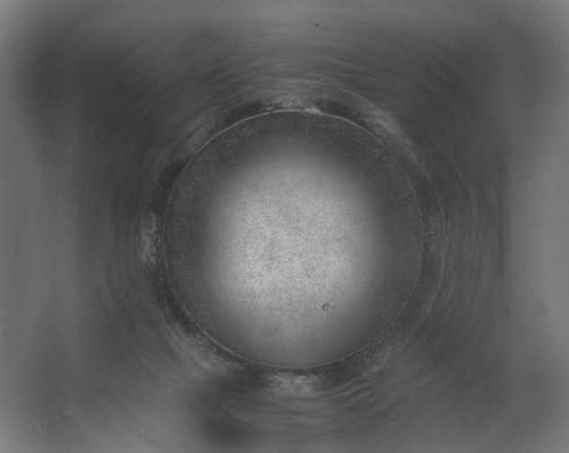 X0000062600073200601040924