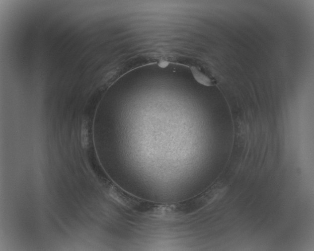 X0000062600080200601040924