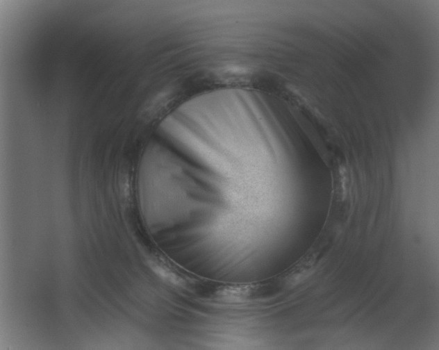 X0000062600084200601040924