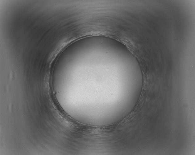X0000062600098200601040924
