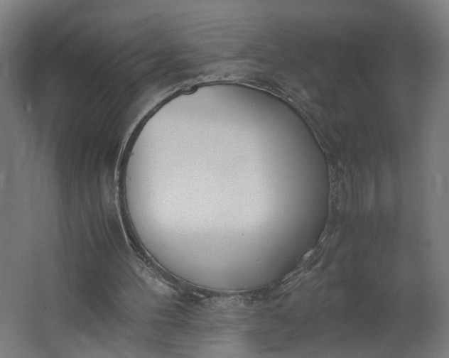 X0000062600100200601040924