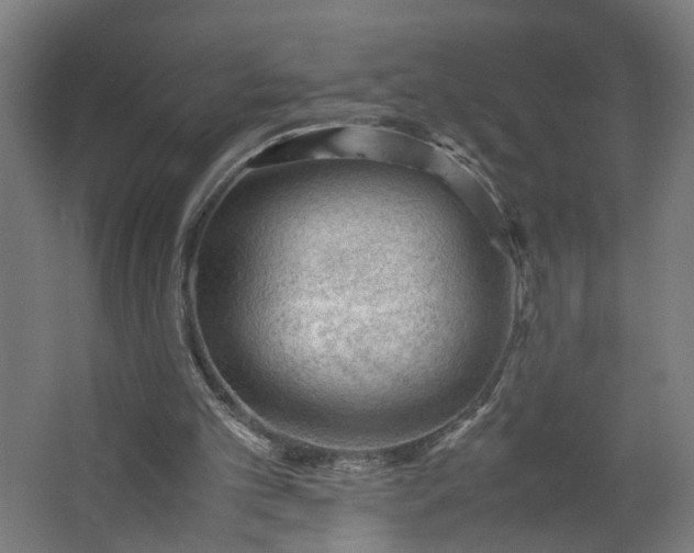 X0000062600101200601040924