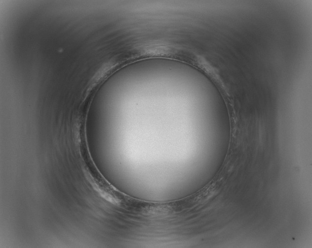X0000062600106200601040924