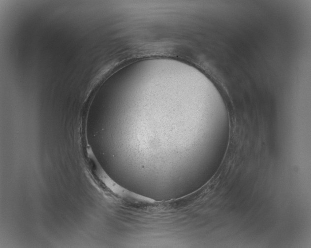 X0000062600107200601040924