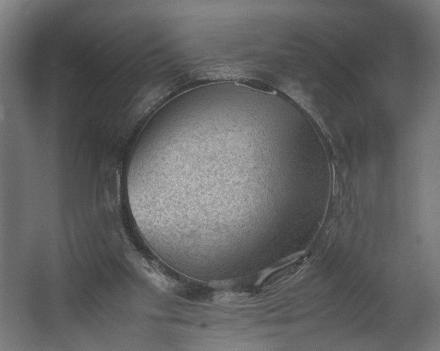 X0000062600109200601040923