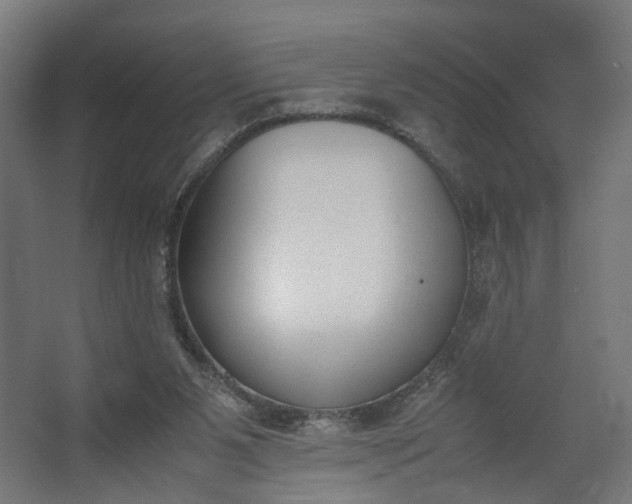 X0000062600111200601040923