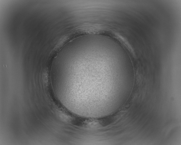 X0000062600113200601040923