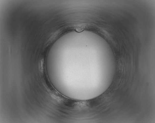 X0000062600118200601040923