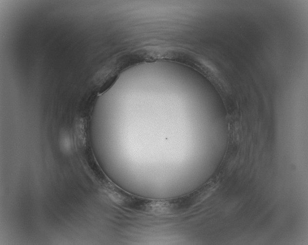 X0000062600121200601040923