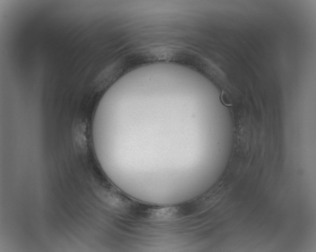 X0000062600122200601040923