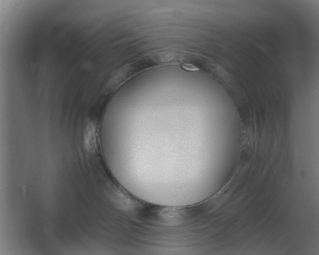 X0000062600142200601040923