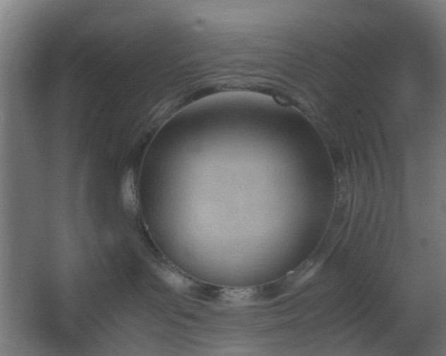 X0000062600143200601040923