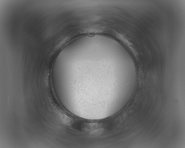 X0000062600153200601040922
