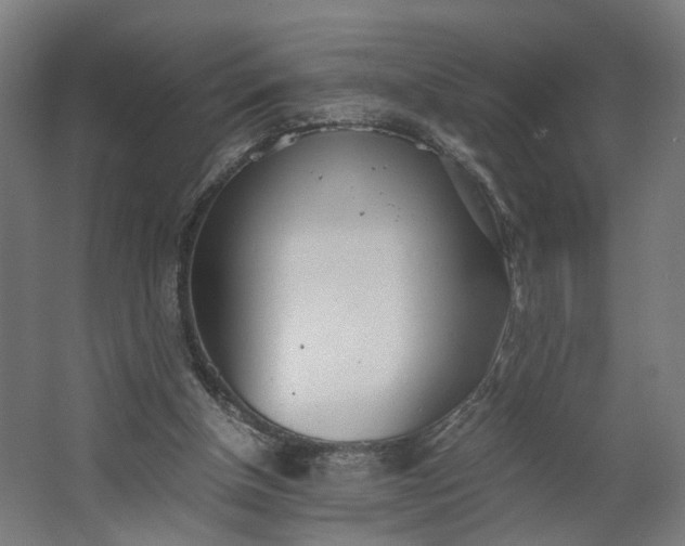X0000062600154200601040922