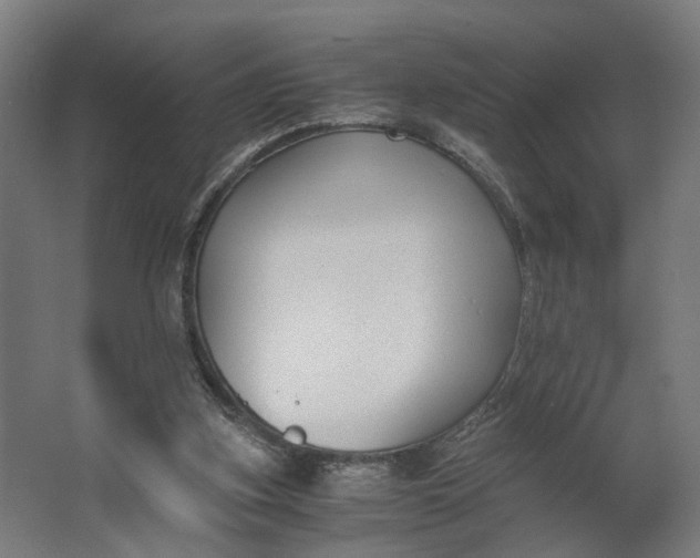 X0000062600155200601040922