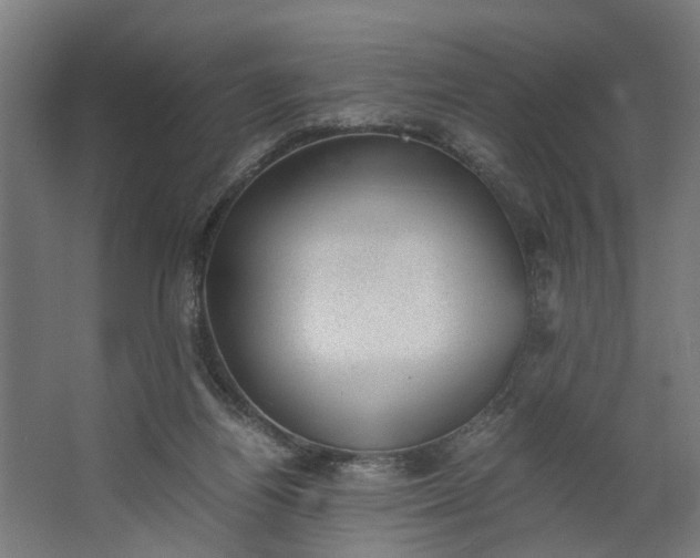 X0000062600164200601040922