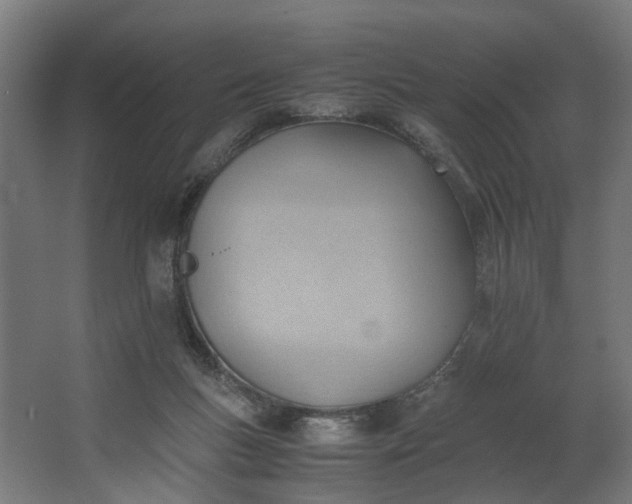 X0000062600167200601040922