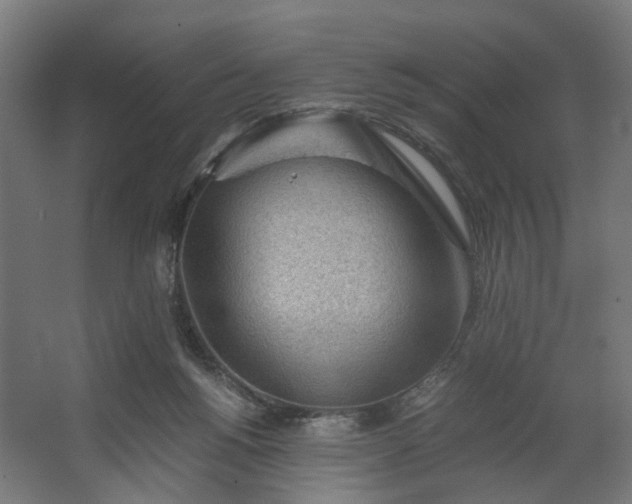 X0000062600168200601040922