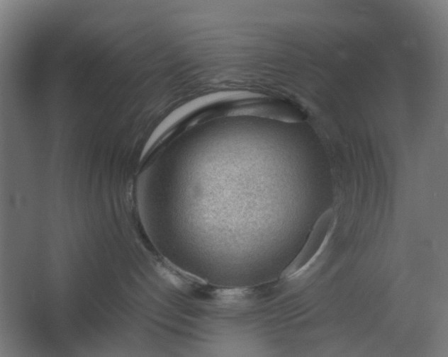 X0000062600192200601040923
