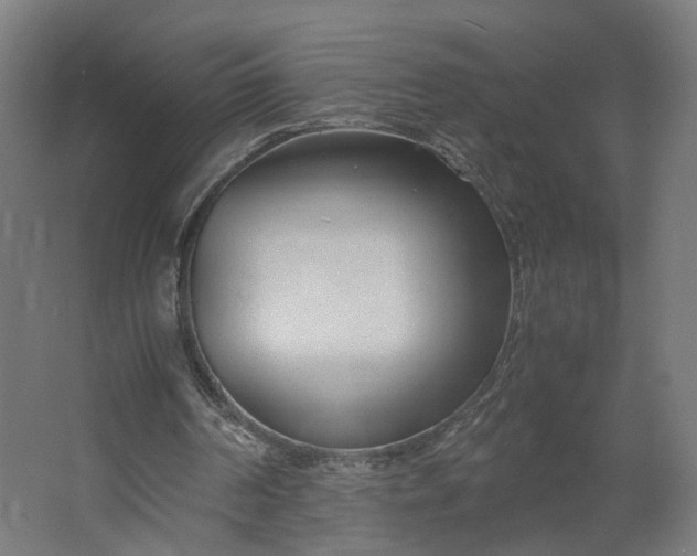 X0000062600194200601040922