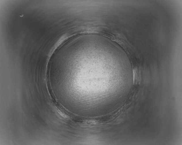 X0000062600195200601040922