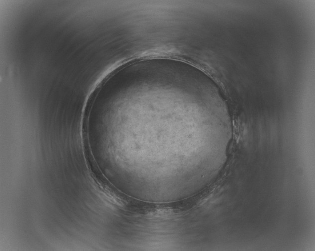 X0000062600196200601040922