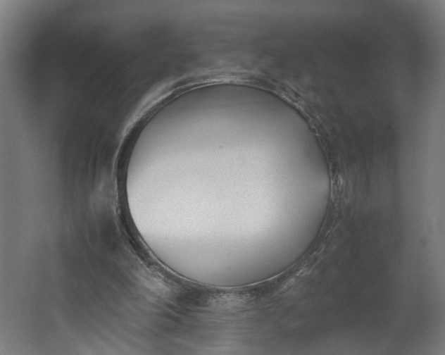 X0000062600198200601040922