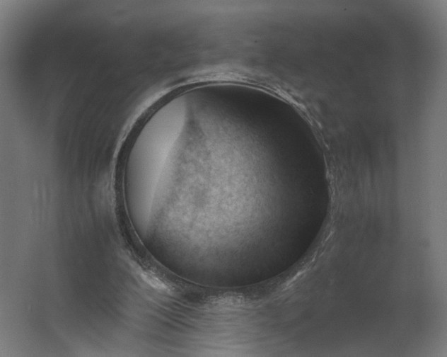 X0000062600200200601040922