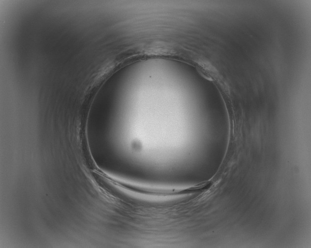 X0000062600201200601040922