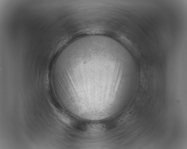 X0000062600202200601040922
