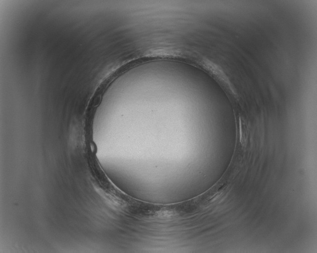 X0000062600204200601040922